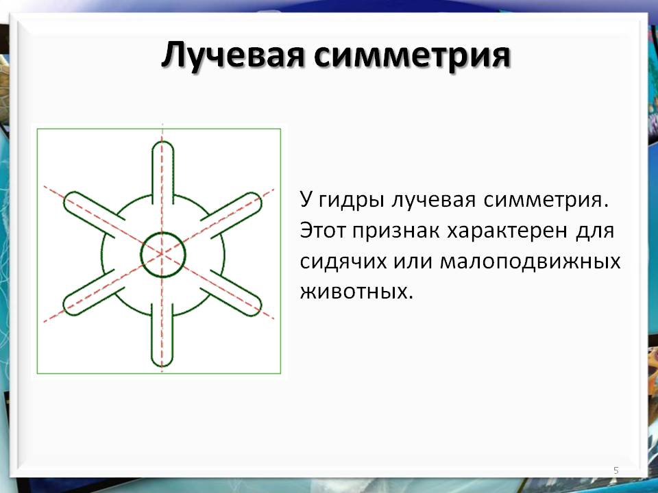 Где найти рабочую ссылку на кракен