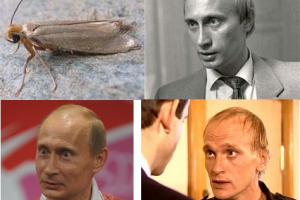 Взломали аккаунт кракен