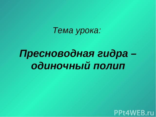 Магазины с наркотиками